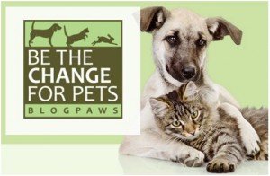 Be the Change for Pets