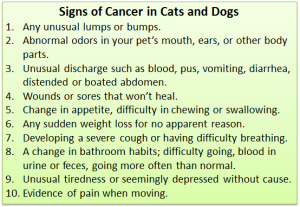 cancer in pets