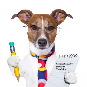 accountability partner checklist