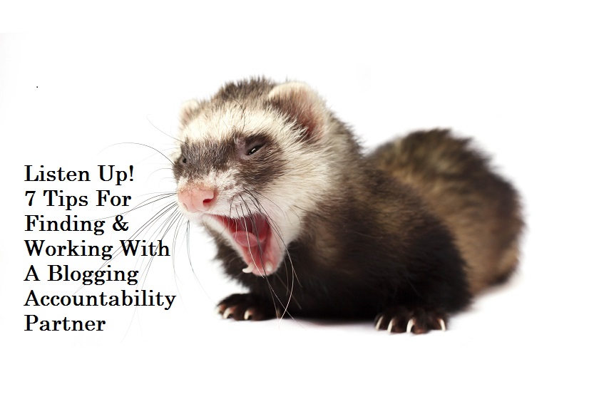 ferret find an accountability partner 