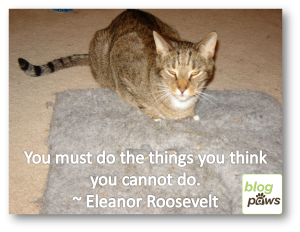 Resources to Jump Start 2016