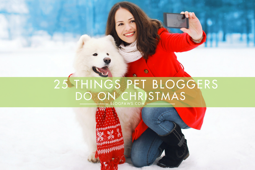 25 Things Pet Bloggers Do On Christmas