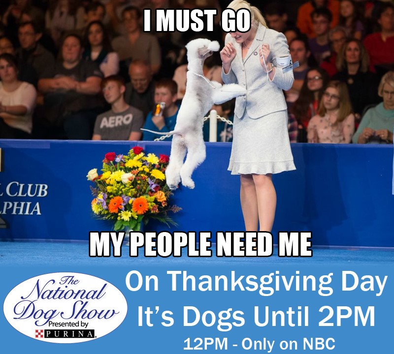 National Dog Show Day 