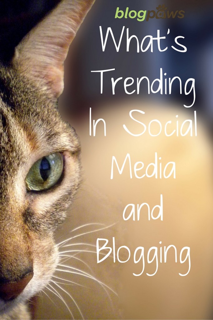 Social Media and Blogging Trends from BlogPaws