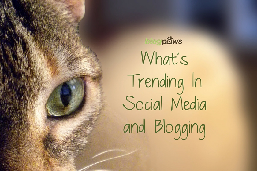 What’s Trending In Social Media and Blogging