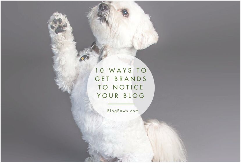 10 Ways to Get Brands to Notice Your Blog