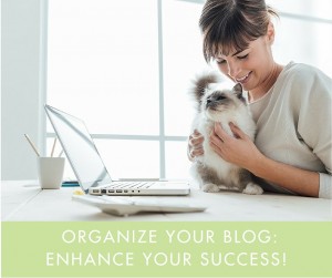 blog organization