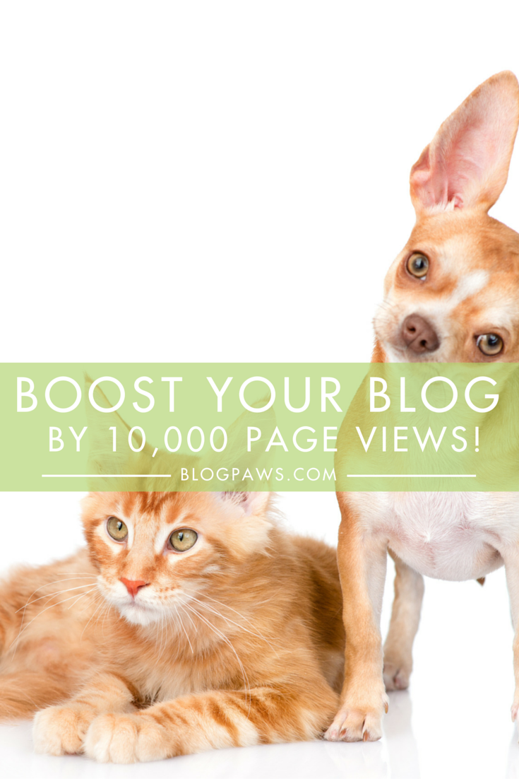 Boost Your Blog By 10,000 Page Views