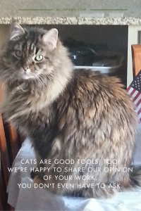 Cats are good tools
