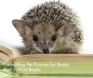 Formatting pictures for books part 1