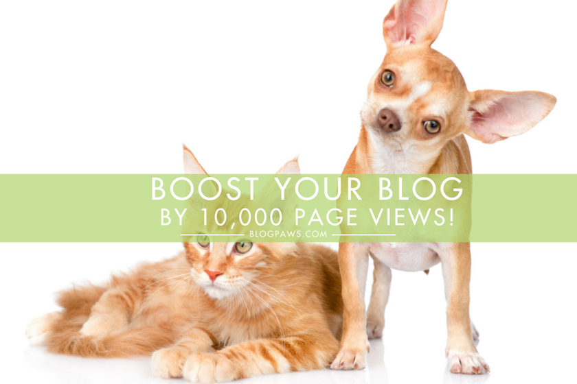 Hero_Boost Your Blog by 10,000 Page Views