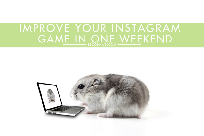 Improve Your Instagram Game This Weekend