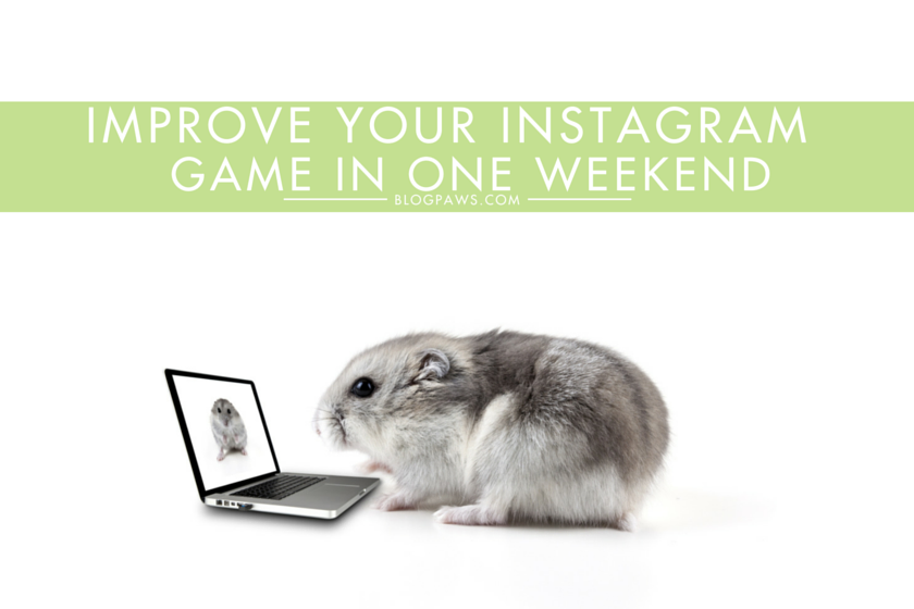 Improve your Instagram game this weekend