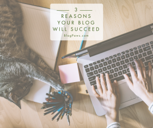 3 Reasons Your Blog Will Succeed FB
