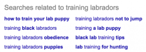 Google search results