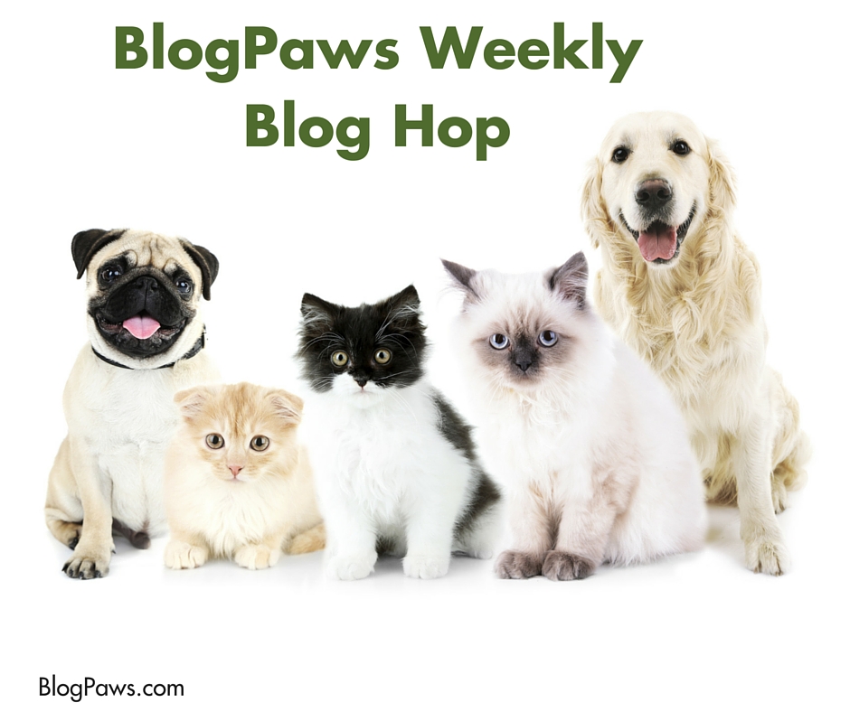 #BlogPaws Wordless Wednesday: #GlobalPetExpo