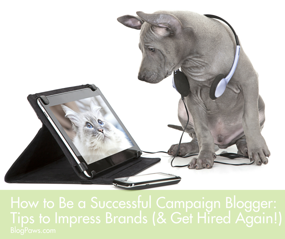 How to be a Successful Campaign Blogger: Tips to Impress Brands (and Get Hired Again!)