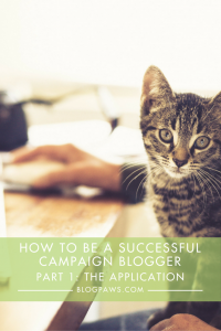 How to be a successful campaign blogger- The dos and don'ts of the application