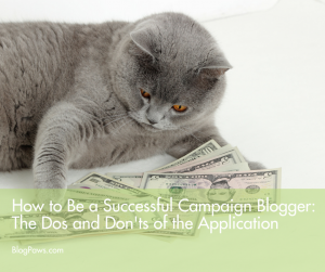 How to be a successful campaign blogger- The dos and don'ts of the application FACEBOOK