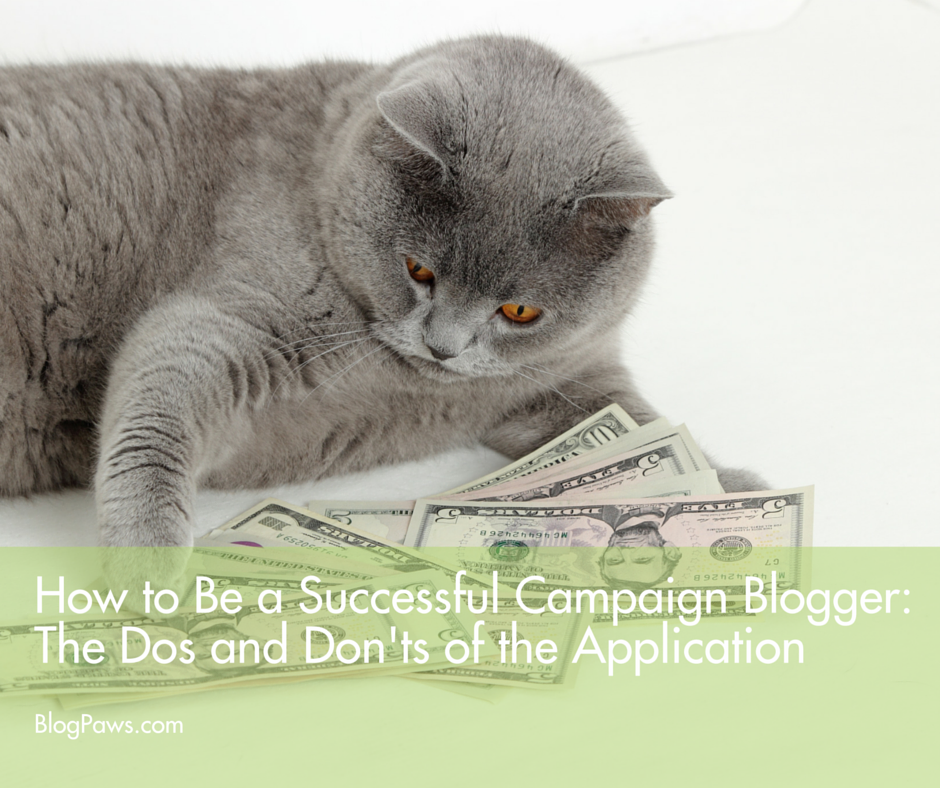 How to be a successful campaign blogger- The dos and don'ts of the application FACEBOOK