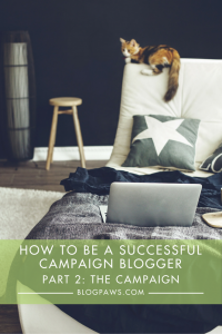 How to be a successful campaign blogger- Tips to impress brands