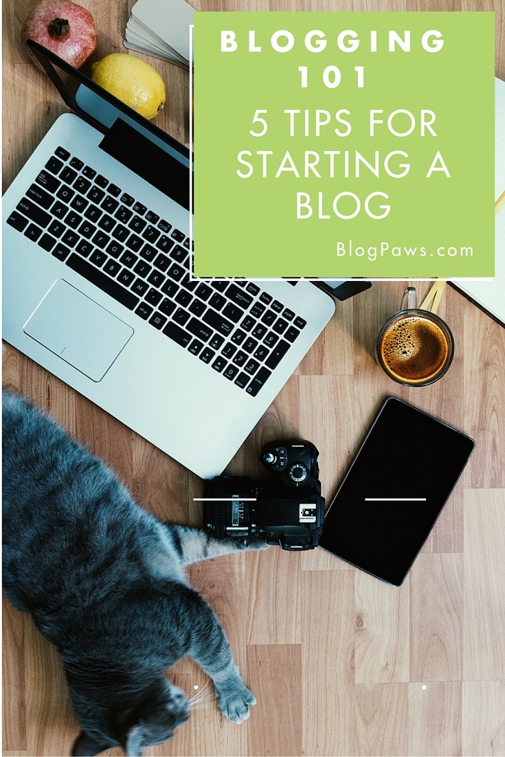 Blogging 101: How to Start a Pet Blog