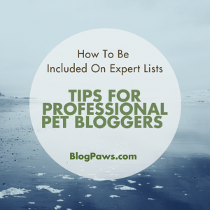 Tips for Professional Bloggers on Expert Lists