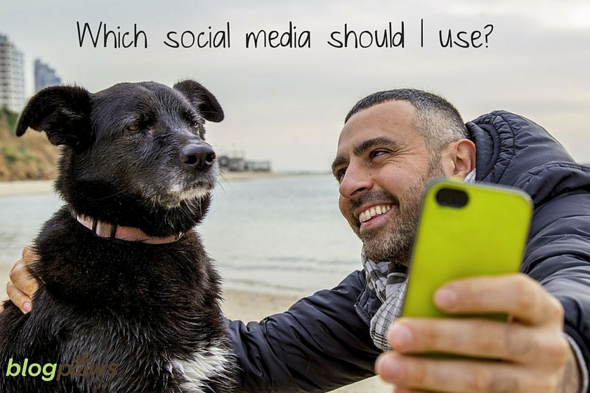 Which Social Media Networks Should I Use?
