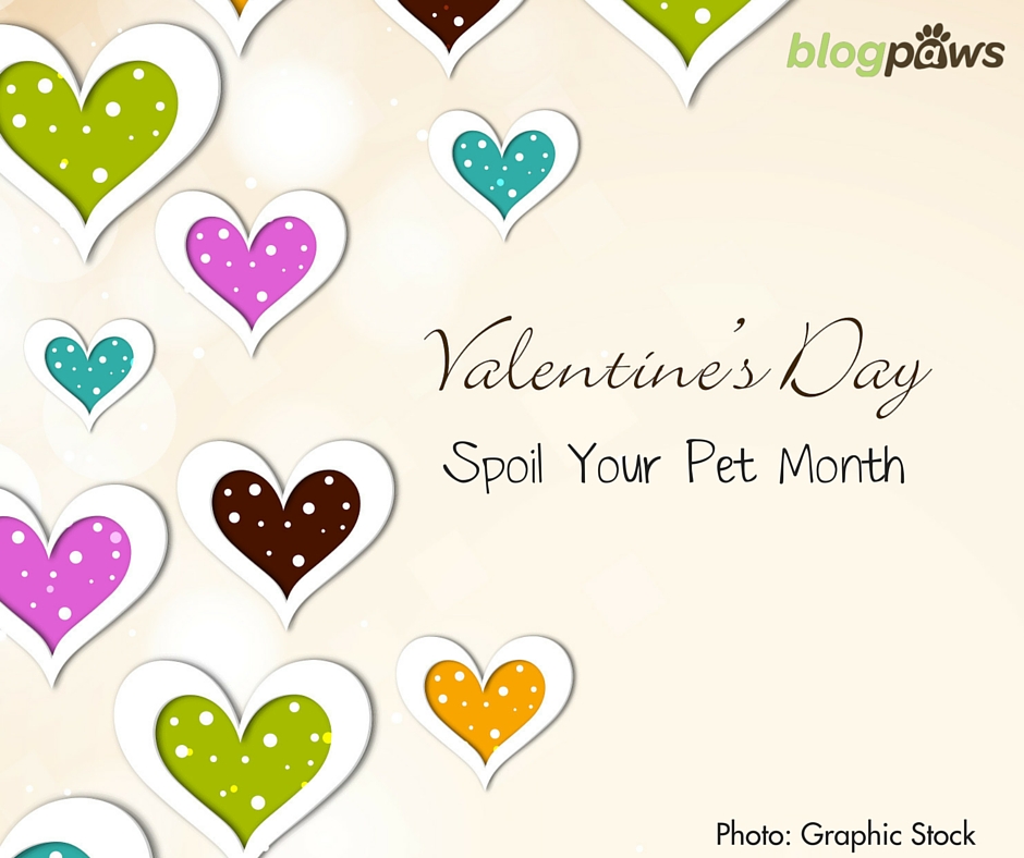 Wordless Wednesday Blog Hop: Spoil Your Pet