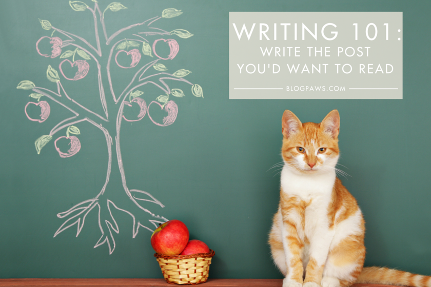 Writing 101: Write The Blog Post You’d Want To Read