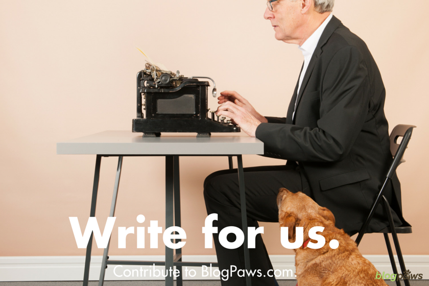 Write for us: BlogPaws announces contributor guidelines