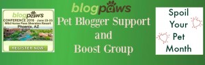 BlogPaws Facebook boost group