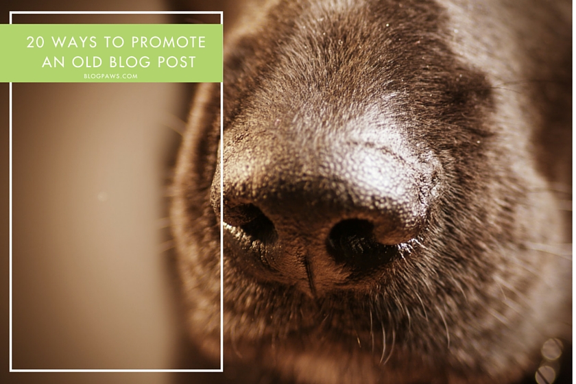 How to promote older blog posts