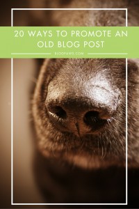 promoting older blog posts