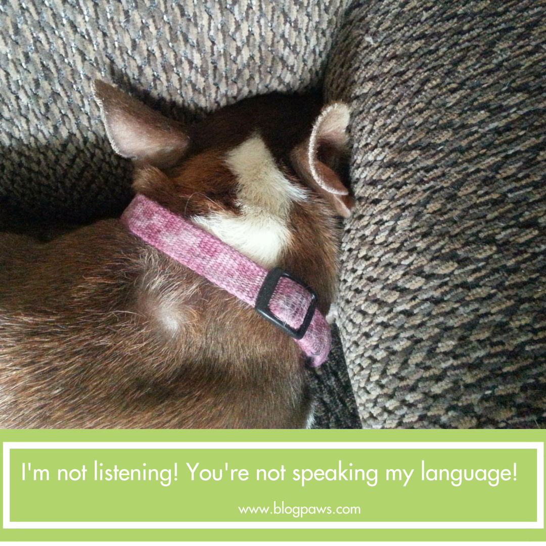 You're not speaking my language. I'm not listening!
