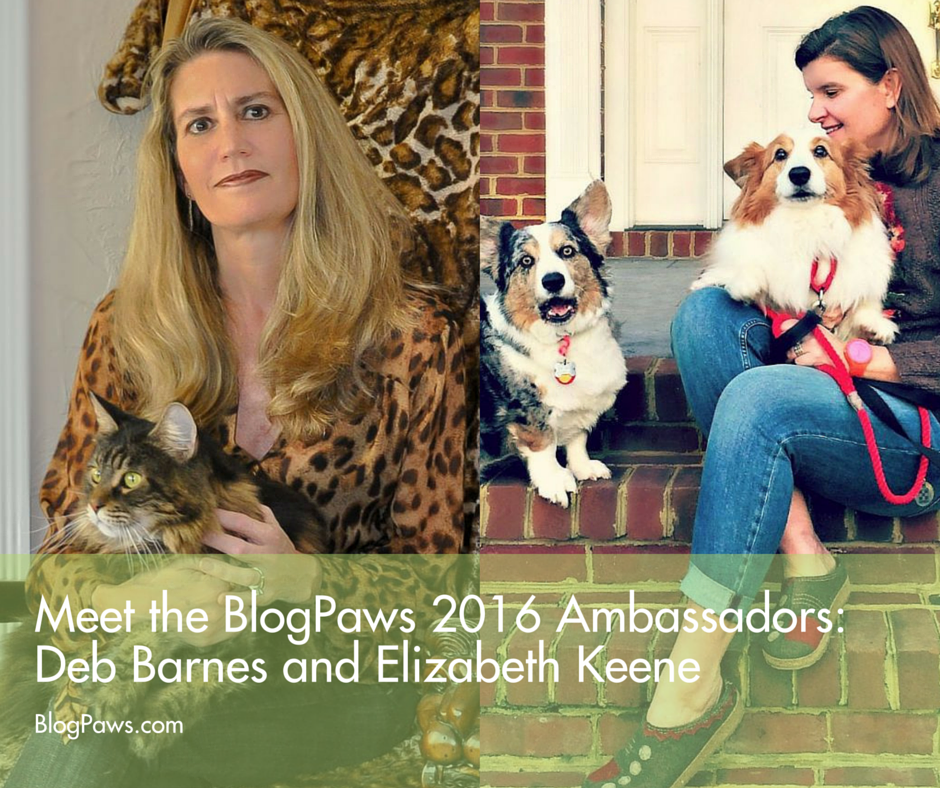 Meet the Ambassadors: Deb Barnes and Elizabeth Keene
