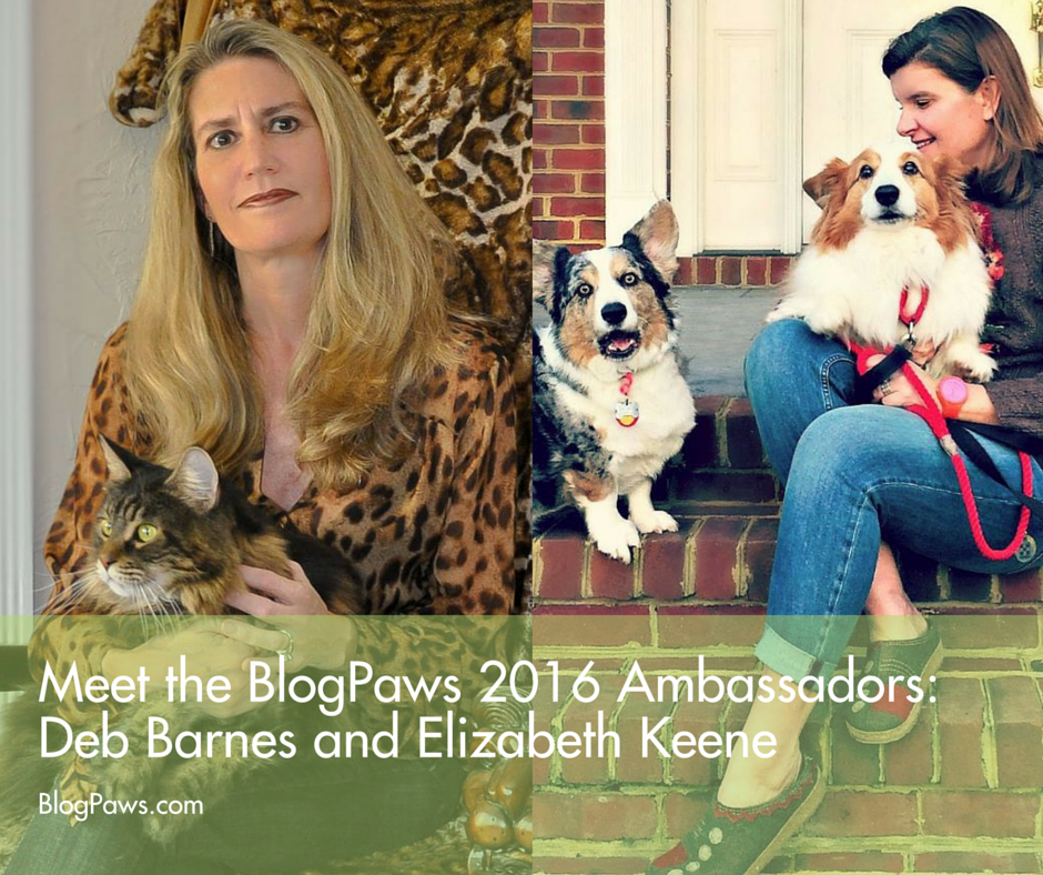 Meet the Ambassadors- Deb and Elizabeth