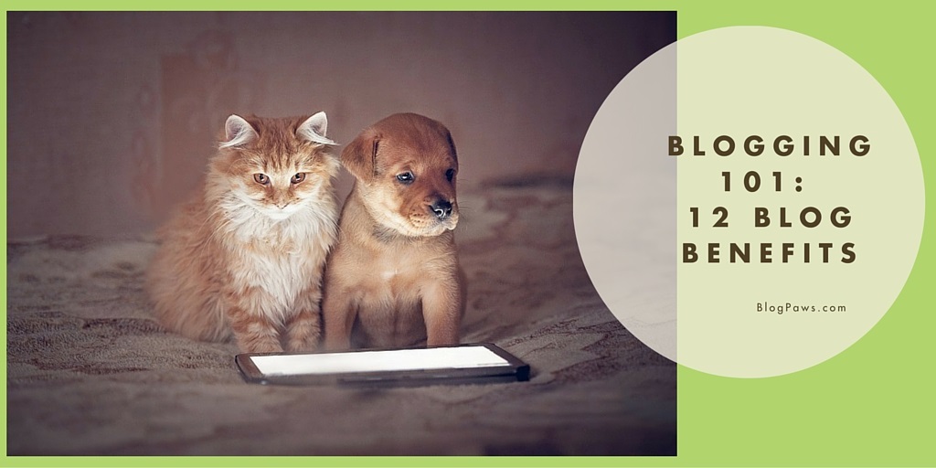 Blogging 101: 12 Benefits Of Being A Pet Blogger