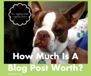 How Much is a Blog Post Worth