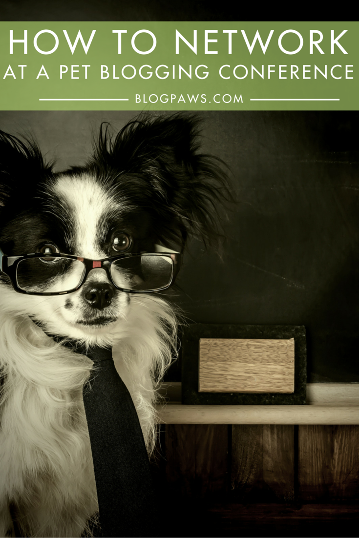 Blogging 101: How To Network At A Pet Blogging Conference