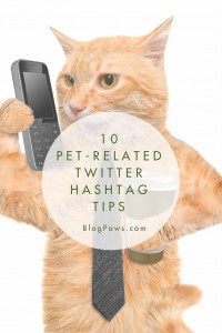 Twitter tips for pet bloggers