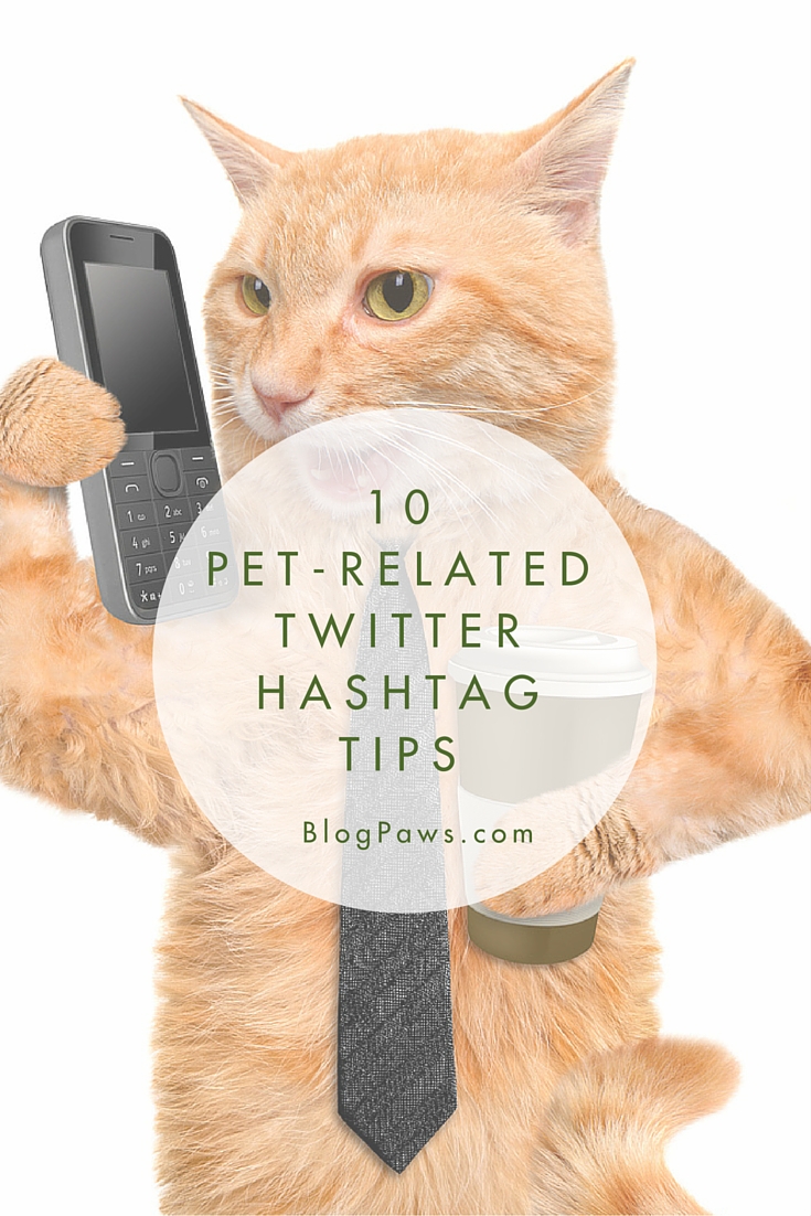 10 Pet Related Twitter Hashtag Tips Blogpaws