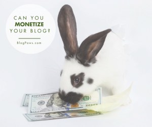 3 Ways to Monetize Your Blog (1)