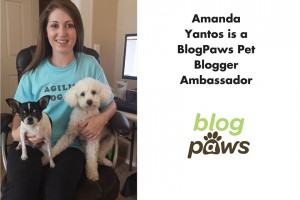 Amanda Yantos BlogPaws Ambasssador