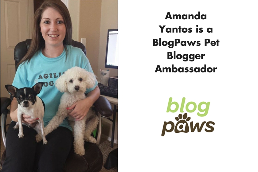 Amanda Yantos is a BlogPaws Pet Blogger Ambassador