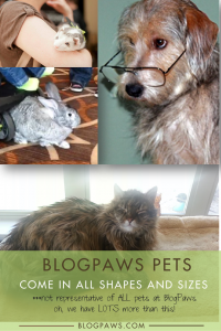 BlogPaws pets come in all shapes and sizes