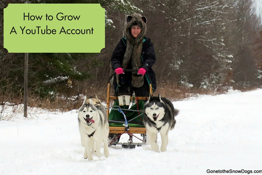 How to Grow A YouTube Account