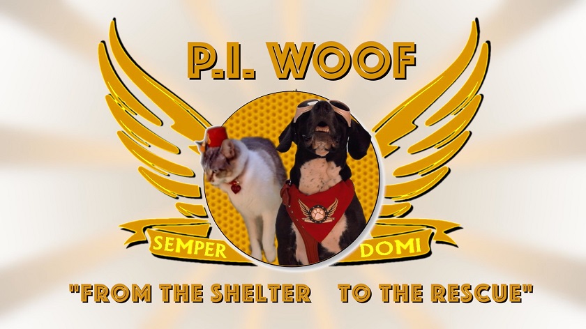 Can Shelter Dogs And Cats Be Movie Stars?