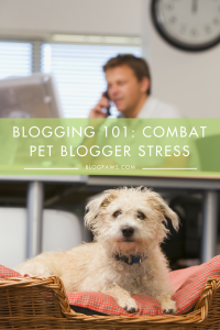 Combat pet blogging stress