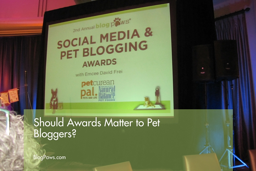 Pet blogging awards